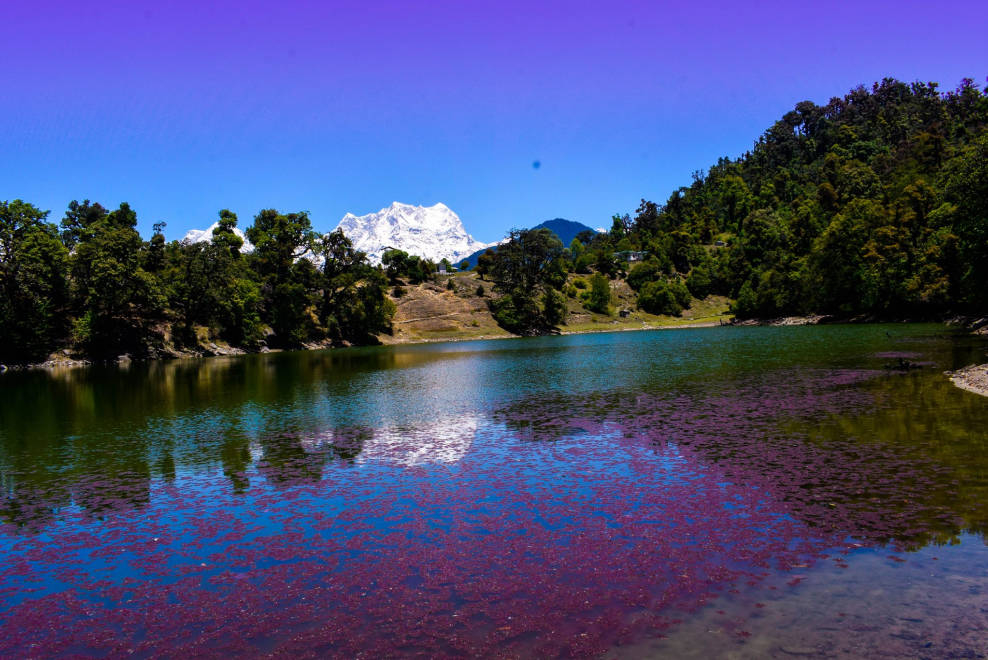 Camping in Chopta